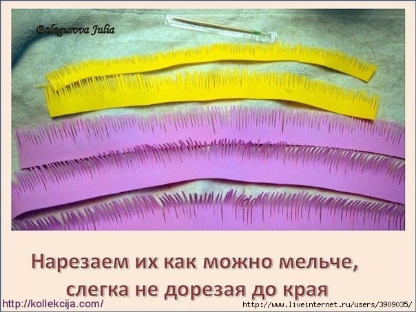 Цветы из фоамирана своими руками астра